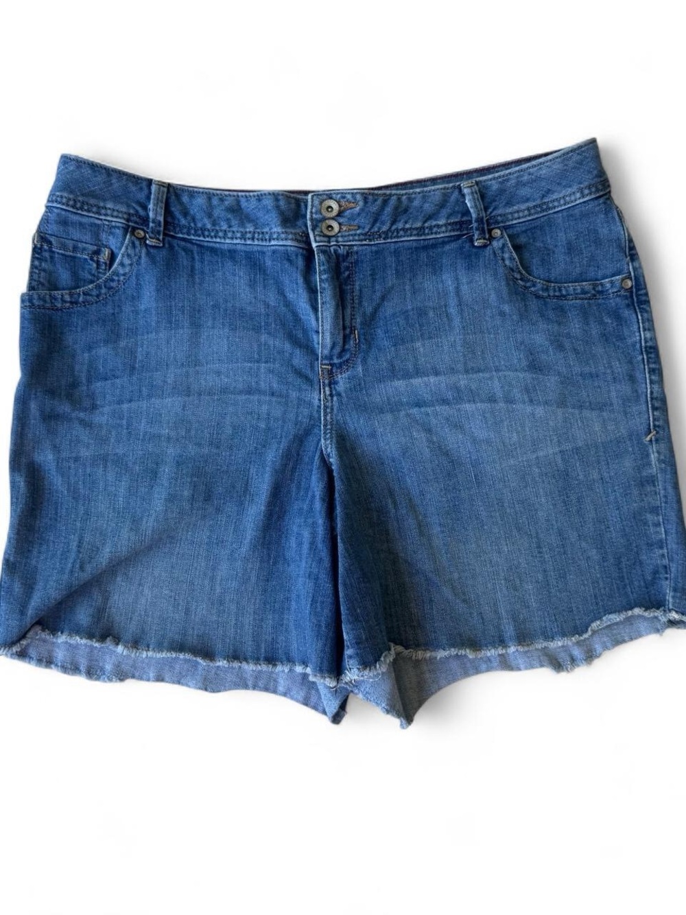 Lane Bryant Denim Shorts